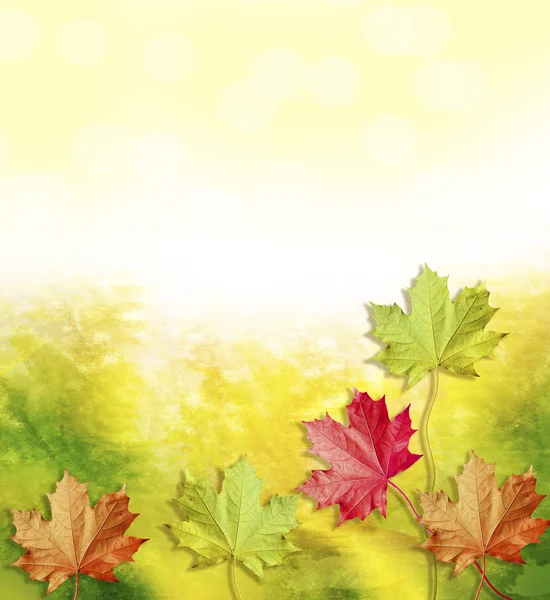 Paysage d'automne avec un feuillage coloré lumineux. Été indien . — Photo