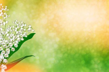 Bahar manzarası. çiçekleri vadideki zambak