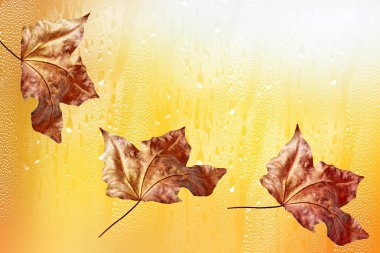 sonbahar manzara parlak renkli yeşillik ile. Pastırma yazı.