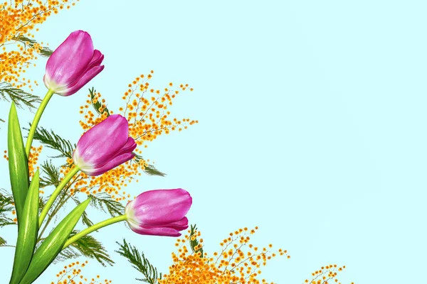 Flores de primavera brilhantes e coloridas de tulipas e mimosa . — Fotografia de Stock