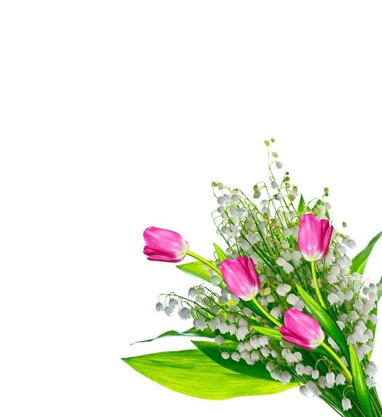 Frühling Blumen Tulpen isoliert auf weißem Hintergrund. — Stockfoto