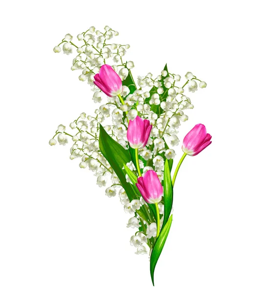 Lente bloemen tulpen geïsoleerd op witte achtergrond. — Stockfoto