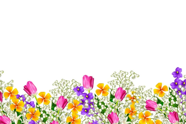 रंगीत वसंत ऋतु फुले — स्टॉक फोटो, इमेज