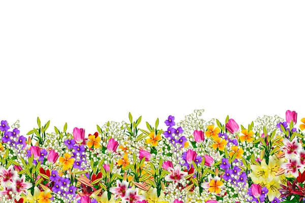 다채로운 봄 꽃 — 스톡 사진
