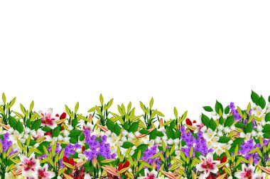 renkli bahar çiçekleri