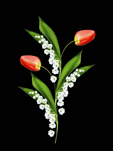 Frühling Blumen Tulpen isoliert auf schwarzem Hintergrund. — Stockfoto