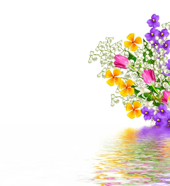 renkli bahar çiçekleri 