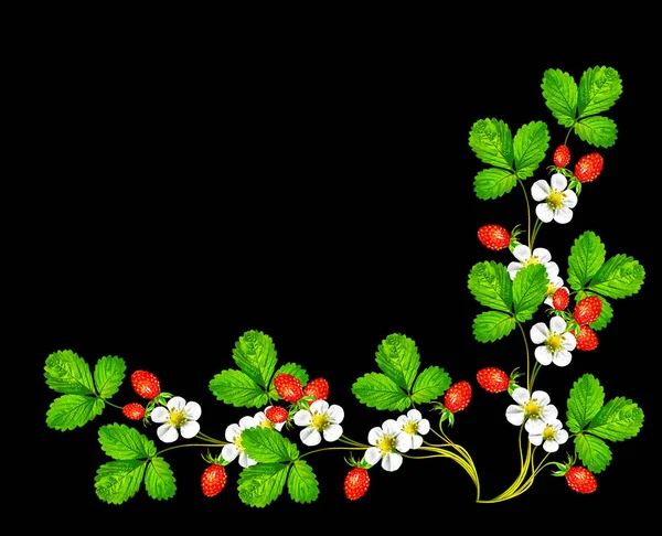 Zweig von Beeren und Erdbeerblüten — Stockfoto
