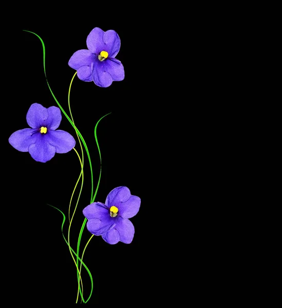 वसंत ऋतु फुले जांभळा — स्टॉक फोटो, इमेज