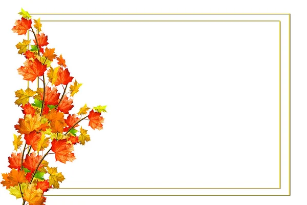 Autumn leaves isolated on white background. — Stock Photo, Image