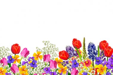 Parlak renkli bahar çiçekleri 