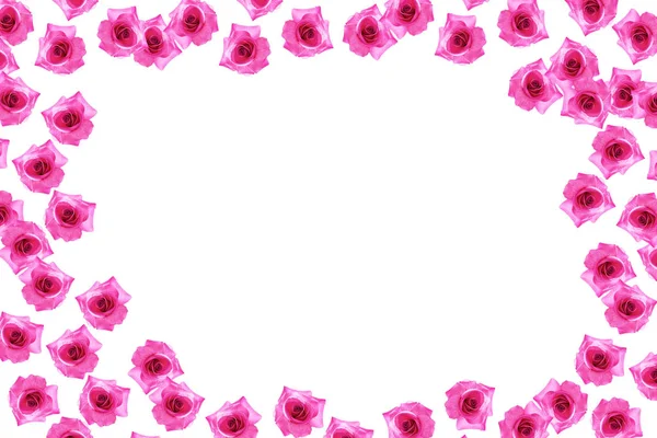 Blütenknospen Rosen auf weißem Hintergrund — Stockfoto