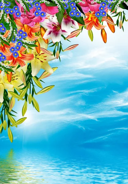 Lily flowers on a background of blue sky with clouds — Stock Photo, Image