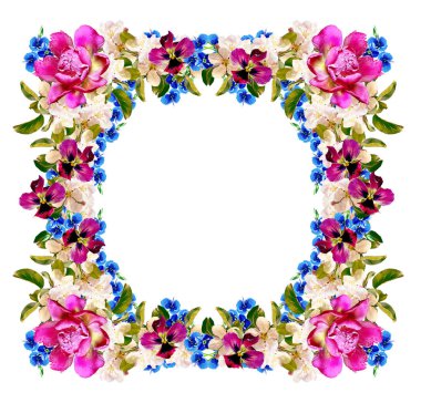 Beyaz bir arka plan üzerinde izole elma dalı çiçeklenme. Bahar