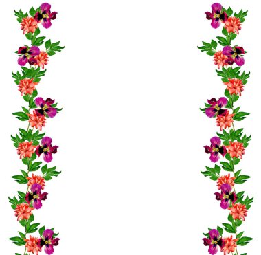 Renkli parlak beyaz arka plan üzerinde izole peonies çiçekler.