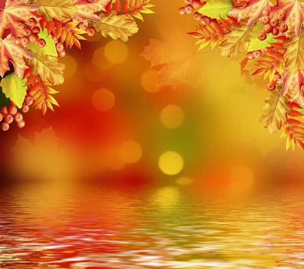 Autumn landscape with bright colorful foliage. Indian summer. — Stock Photo, Image