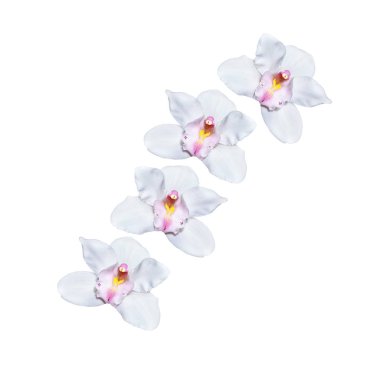 Beyaz arkaplanda izole edilmiş orkide çiçeği.