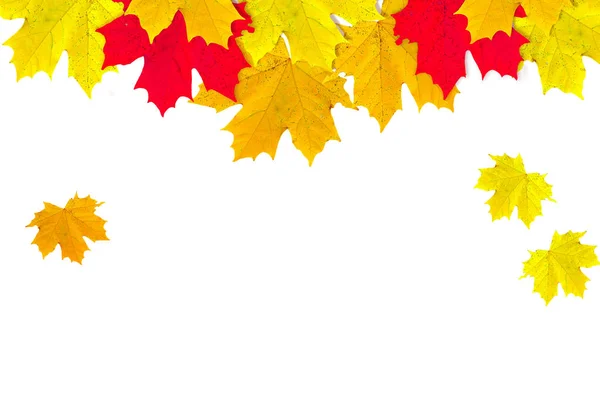 Осенние листья изолированы на белом фоне. — стоковое фото