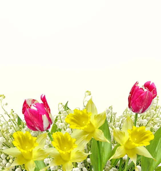 Bahar çiçekleri lily vadi ve Nergis — Stok fotoğraf