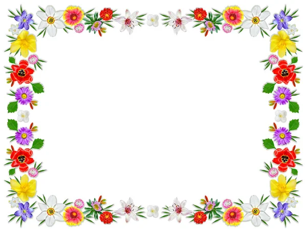 Frame of bright spring flowers. Floral background. — Stock Photo, Image