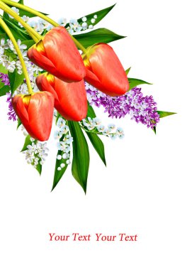 Beyaz arka plan üzerinde izole parlak bahar çiçekleri.