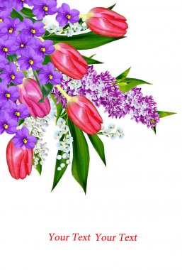 Beyaz arka plan üzerinde izole parlak bahar çiçekleri.