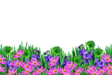 Parlak renkli çiçek bahar 