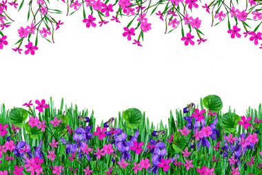 Parlak renkli çiçek bahar 