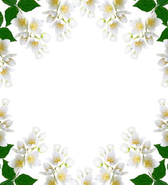 Yasemin çiçek şube 