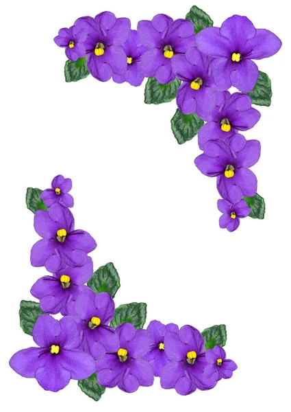 Delicadas flores violetas —  Fotos de Stock