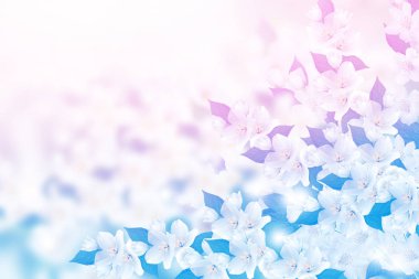 Bahar yatay, hassas Yasemin çiçekleri