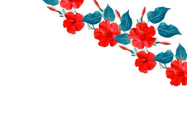 Beyaz bir arka plan üzerinde izole Petunyalar. Renkli çiçekler.