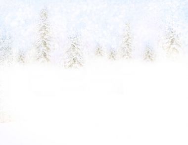 Kış. Kar yağışı. Noel arka plan bulanık. 