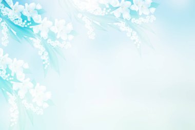 Yasemin şube hassas bahar çiçekleri beyaz