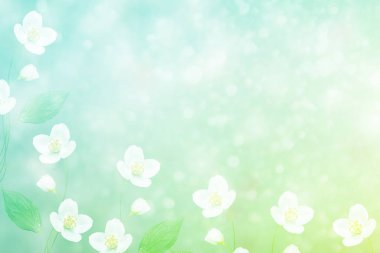 Yasemin şube hassas bahar çiçekleri beyaz