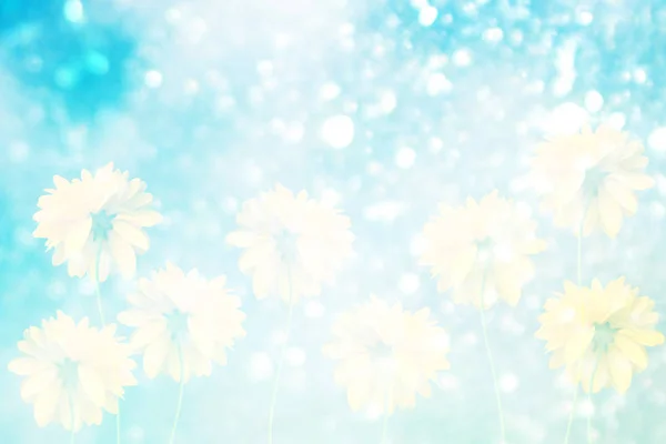 Πολύχρωμο Ντάλια λουλούδια με φόντο το φθινοπωρινό τοπίο — Φωτογραφία Αρχείου