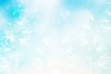 Çan çiçekleri ile bulanık bahar arka plan.