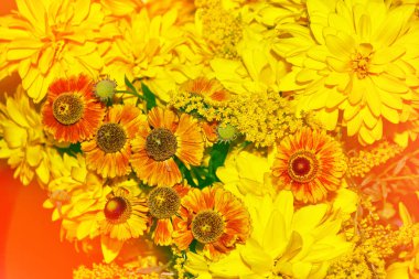 Sonbahar çiçek dahlias ve marigolds oluşan.