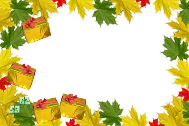 Parlak renkli sonbahar yaprakları 