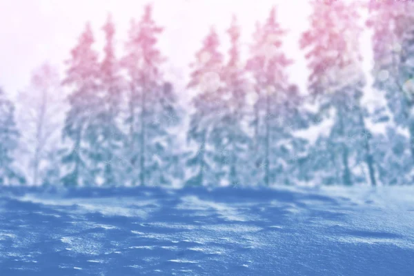 Blurred christmas background. Trees in the snow. Winter Forest — Stock Photo, Image