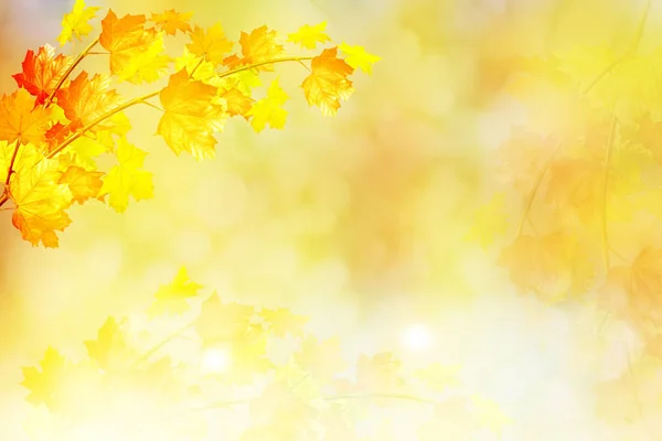 Herbstlandschaft mit leuchtend buntem Laub. Indischer Sommer. — Stockfoto