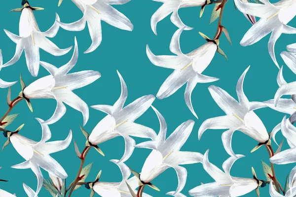 Abstract floral background of white bells — Stock Photo, Image