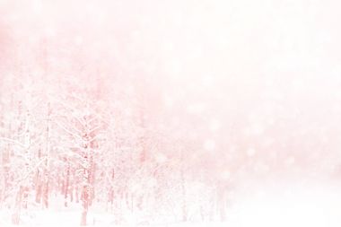 Noel arka plan bulanık. Kar ağaçlarda. Kış orman