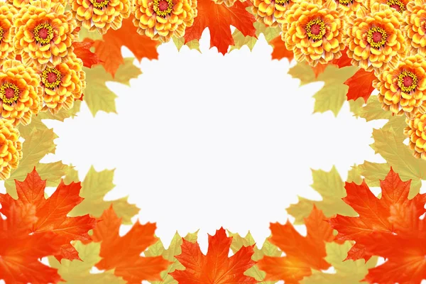 Jasnych, kolorowych liści jesienią — Zdjęcie stockowe