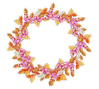 Parlak renkli sonbahar yaprakları 