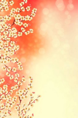 Çiçek açan elma dalı. Parlak renkli bahar çiçekleri