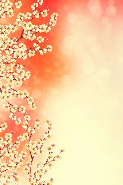 Çiçek açan elma dalı. Parlak renkli bahar çiçekleri