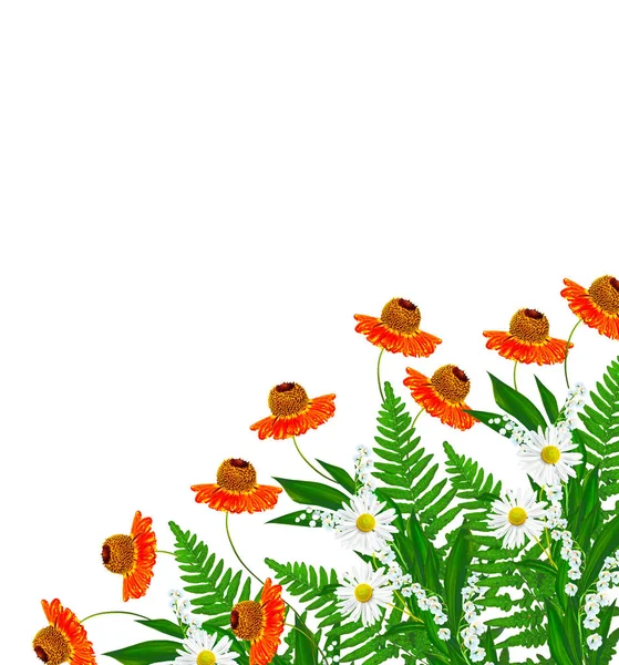 白い背景で隔離のヒナギク夏の花. — ストック写真