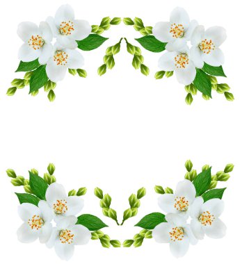 Yasemin çiçek şube 