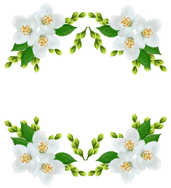 Yasemin çiçek şube 